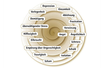 Regulation von Emotionen im Reitsport - Online Kurs Mentaltraining für Reiter 
