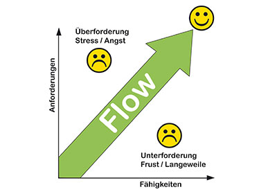 Der Flow-Ansatz - Online Kurs Mentaltraining für Reiter 