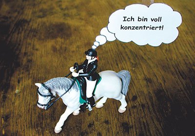 Fokus & Konzentration im Sattel - Online Kurs Mentaltraining für Reiter 