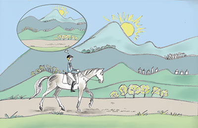 Gelassenheit beim Reiten statt Perfektionismus - Online Kurs Mentaltraining für Reiter 