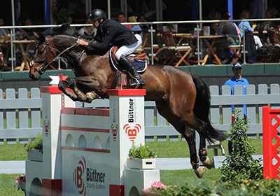 Rituale und Routinen im Pferdesport - Online Kurs Mentaltraining für Reiter 